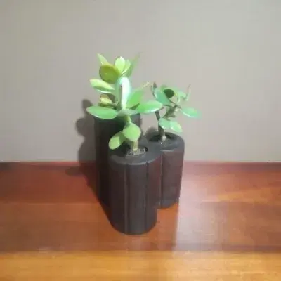 Mini Vasos para Suculentas