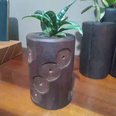 Mini Vasos para Suculentas