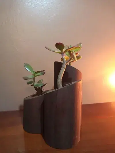 Mini Vasos para Suculentas