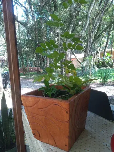 Vasos Cachepots em Madeira
