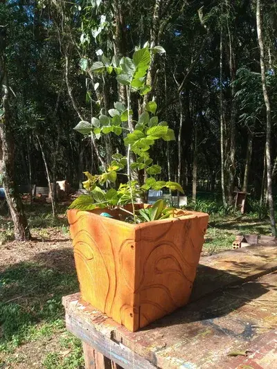 Vasos Cachepots em Madeira