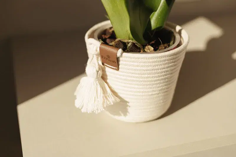 Cachepô Artesanal para Orquídea em Cestaria