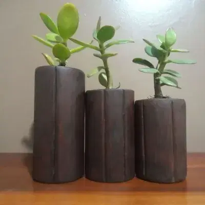 Mini Vasos para Suculentas