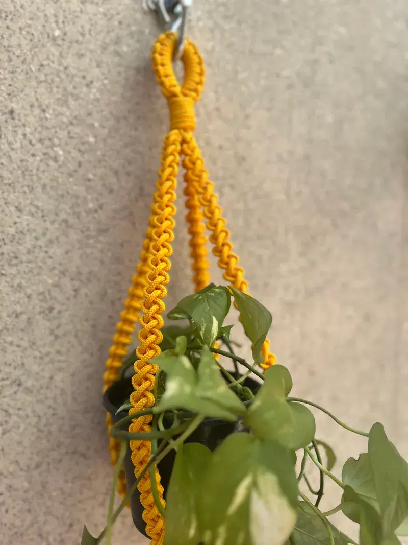 Suporte Elo